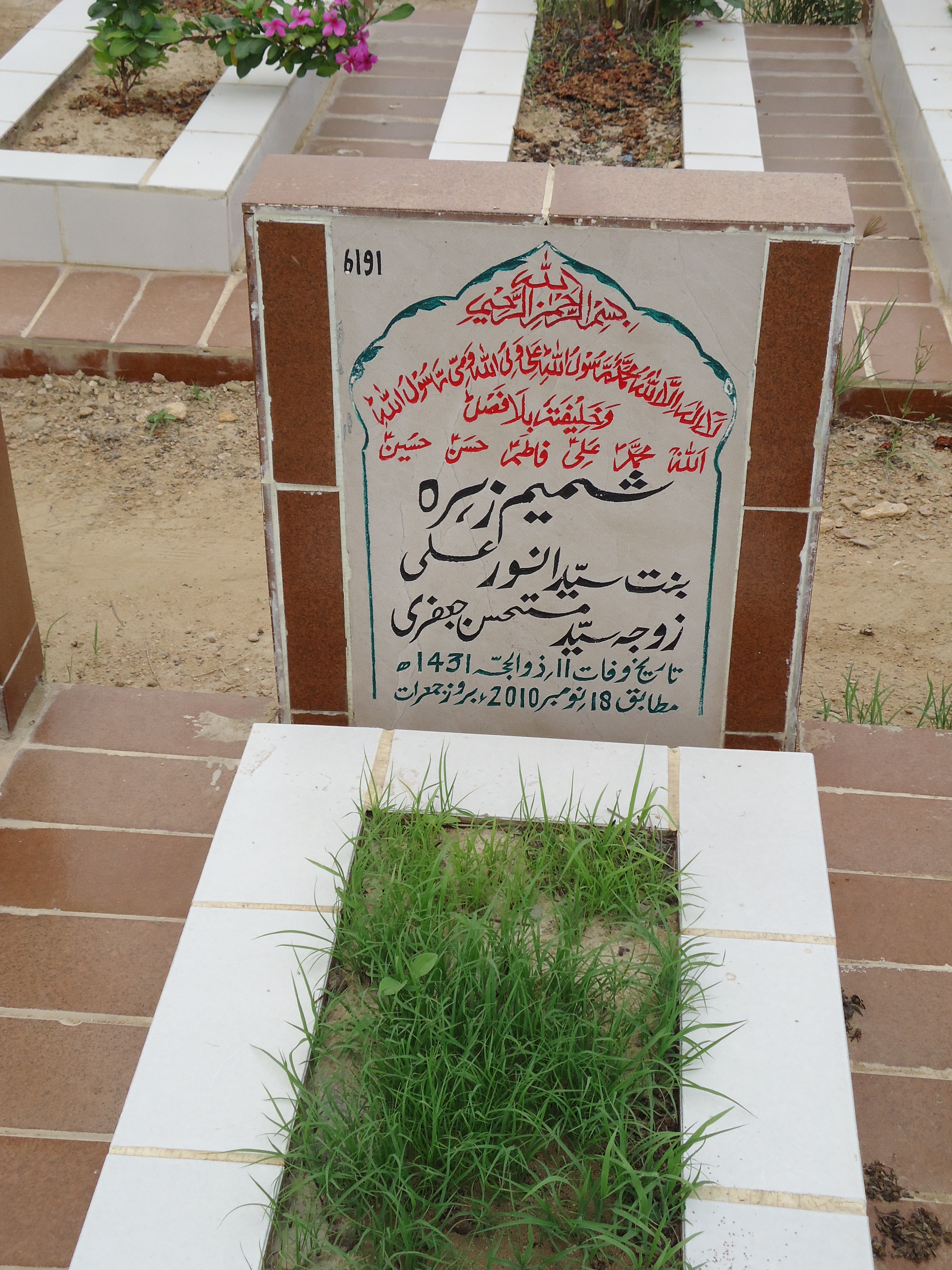 6191 – Shamim Zehra